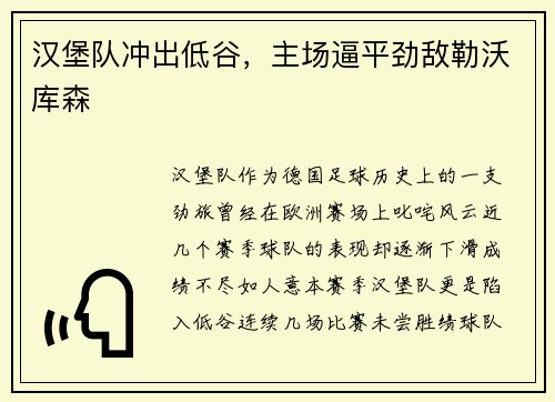 汉堡队冲出低谷，主场逼平劲敌勒沃库森